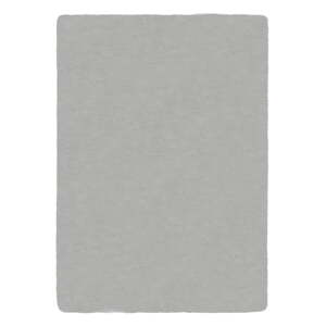 Svetlosivá syntetická kožušina 200x290 cm Ivy Luxury Fur – Flair Rugs