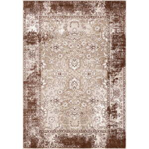 Hnedý koberec 160x230 cm Terno Brown – FD