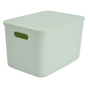 Svetlozelený plastový úložný box s vekom 35,5x25,5x23 cm – Homéa