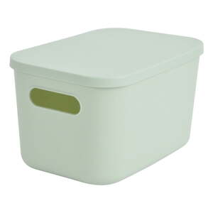 Svetlozelený plastový úložný box s vekom 24,5x18x15 cm – Homéa