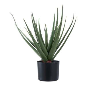 Umelá rastlina (výška  51 cm) Aloe Vera – House Nordic
