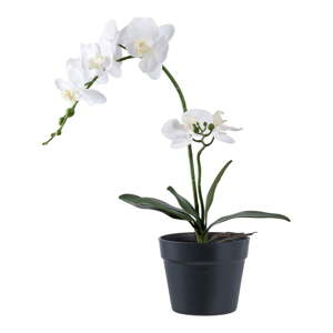 Umelý kvet (výška  47 cm) Orchid – House Nordic