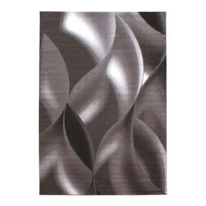 Hnedý koberec 160x230 cm Plus – Ayyildiz Carpets