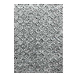Sivý koberec 120x170 cm Pisa – Ayyildiz Carpets
