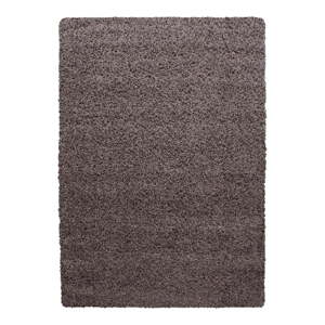 Hnedý koberec 120x170 cm Life – Ayyildiz Carpets