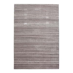 Béžový koberec 120x170 cm Plus – Ayyildiz Carpets