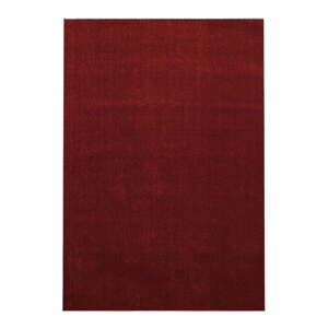 Vínový behúň 80x250 cm Ata – Ayyildiz Carpets