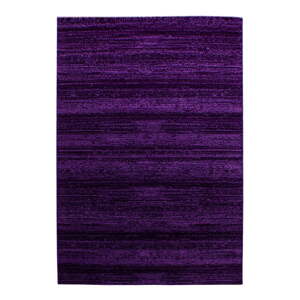 Tmavofialový koberec 80x150 cm Plus – Ayyildiz Carpets