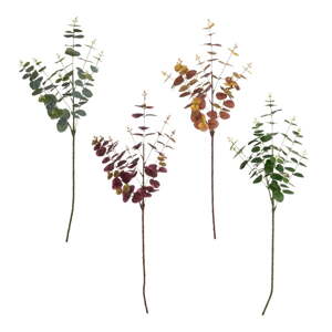 Umelý eukalyptus 4 ks (výška  85 cm) – Casa Selección