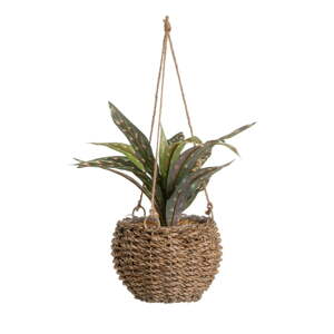 Umelá rastlina (výška  25 cm) – Casa Selección