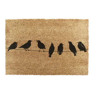 Rohožka z kokosového vlákna 60x90 cm Birds On a Wire – Artsy Doormats