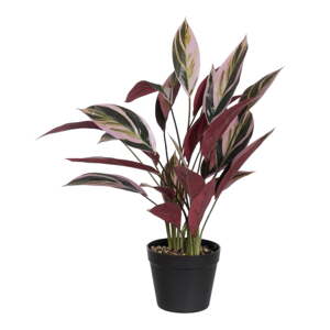 Umelá rastlina (výška  55 cm) Bird of Paradise – Ixia