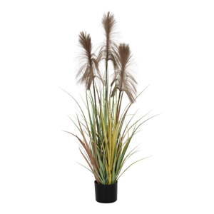 Umelá rastlina (výška  120 cm) – Ixia