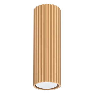 Stropné svietidlo v zlatej farbe Gleam – Nice Lamps