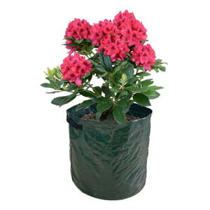 Vrece na pestovanie 2 ks – Garden Pleasure