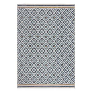 Žltý/modrý vnútorný a vonkajší koberec 200x290 cm Zia Trellis – Flair Rugs
