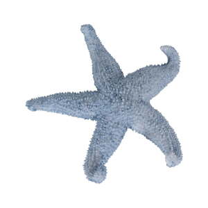 Soška z polyresínu (výška  5 cm) Star – Ixia
