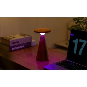 Tmavo prírodná LED stolová lampa s dreveným tienidlom (výška  21 cm) Sylva – Gingko