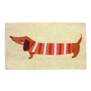 Rohožka z kokosového vlákna 43x73 cm Sausage Dog – Rex London